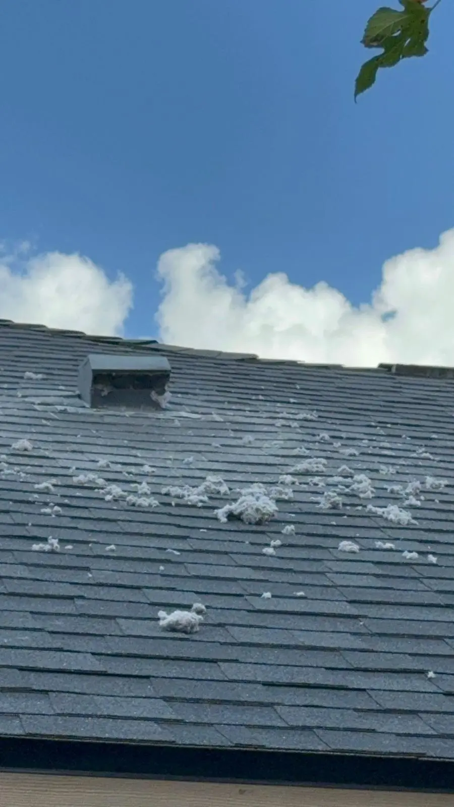 After chimney and air duct cleaning West Austin